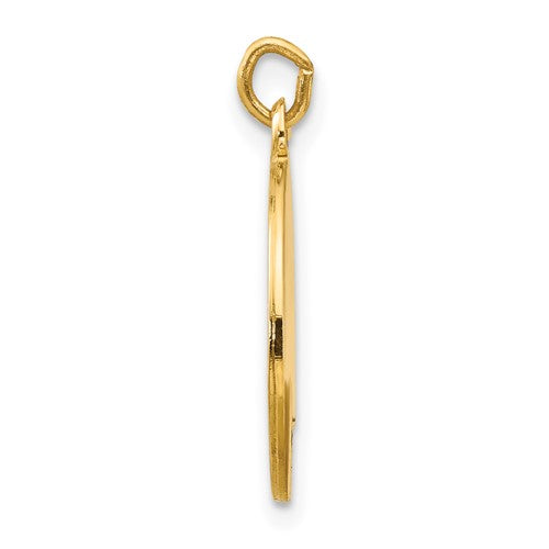 14k St. Luke Medallion - 20 mm