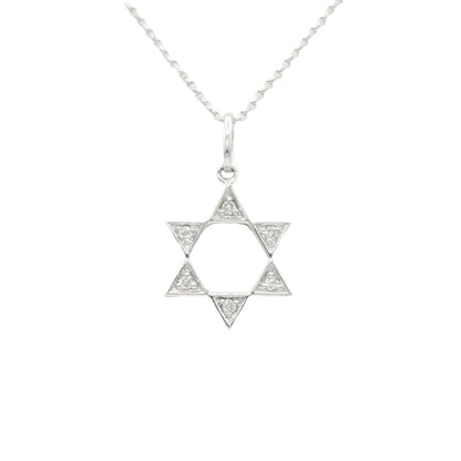 14k White Diamond Star of David Pendant