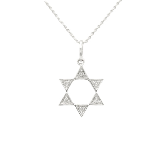 14k White Diamond Star of David Pendant