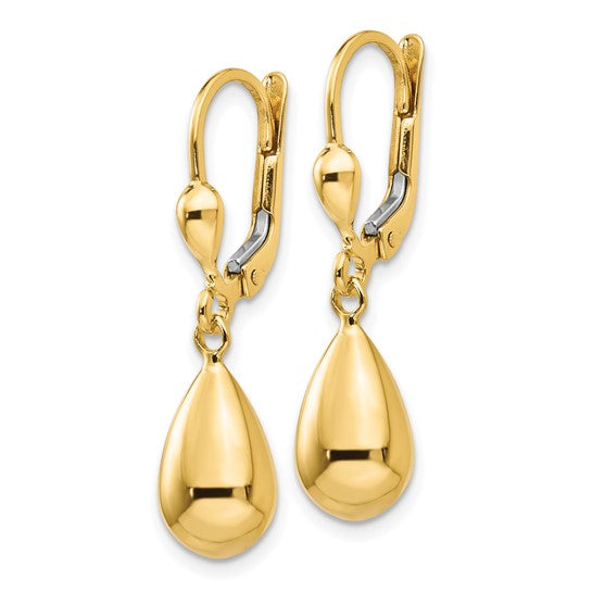 14k Yellow Gold Polished Fancy Dangle Lever-Back Earrings