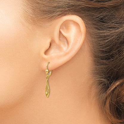 14k Yellow Gold Polished Dangle Lever-Back Earrings