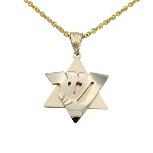 14k Two-Tone Star of David Pendant