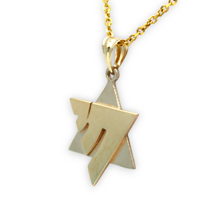 14k Two-Tone Star of David Pendant